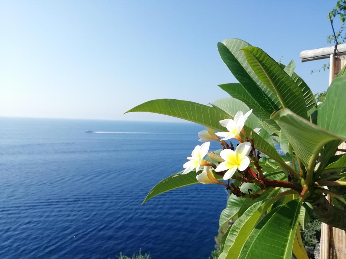 شقة Sea Side Solandra برايانو المظهر الخارجي الصورة